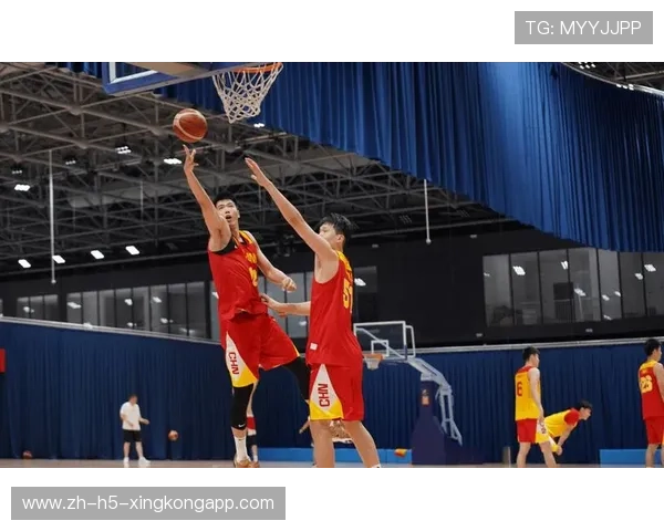 CBA球员体能储备与爆发训练：全面提升竞技水平的秘密武器