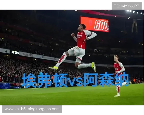 埃弗顿球迷组织开展慈善活动获好评，埃弗顿小球迷