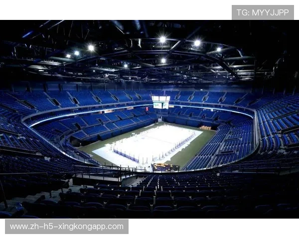 场馆升级：智能化改造提升球迷观赛体验与服务效率，体育场馆智能化解决方案