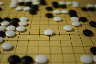 星空官网-世界围棋赛青年选手战术成熟引热议，2020世界围棋